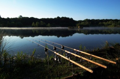 fishing rods at lake