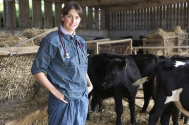 Farm Vet