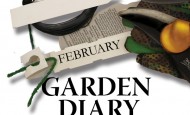 Garden diary february