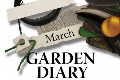 Garden Diary March