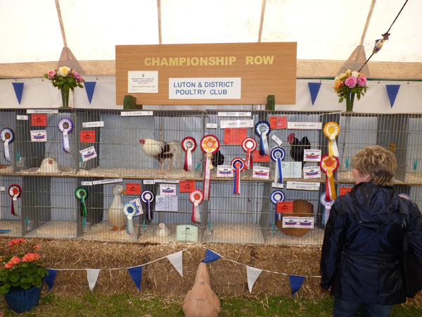 Championship row at a county show