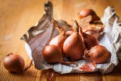 Shallots dried and ready to use
