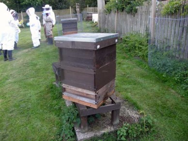 A 'national' design hive