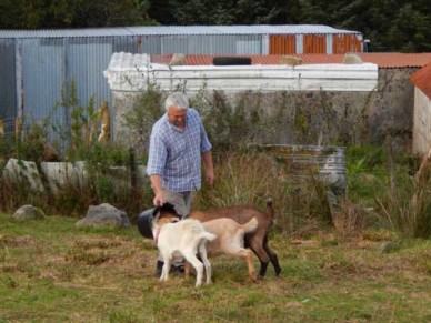 Chris feeding the goats