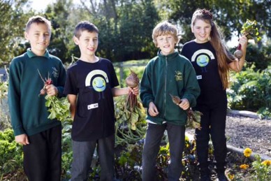 Children growing vegetables in schools